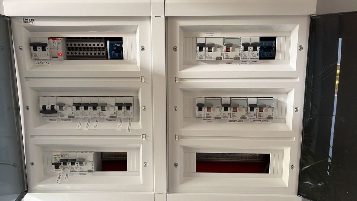 Trabajo eléctrico RYR